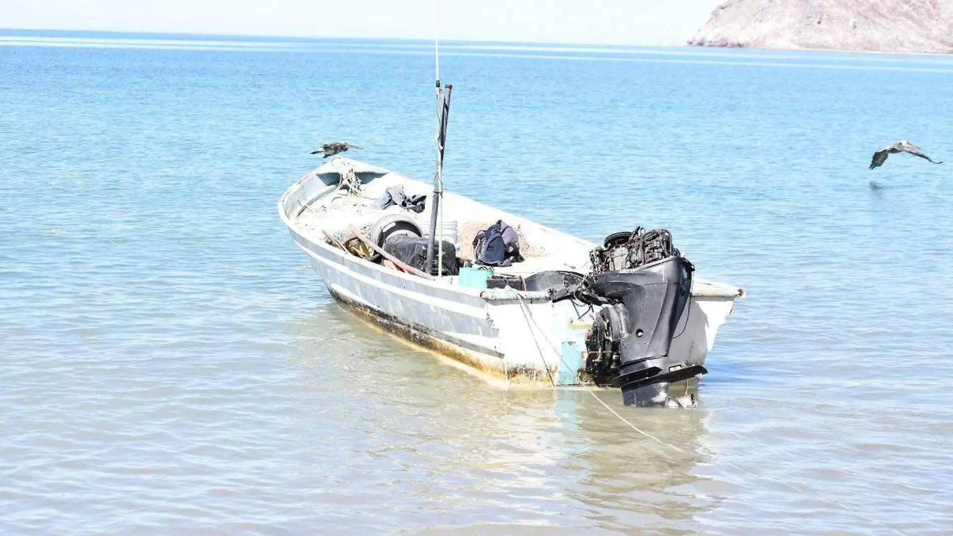 Pescador de Bahía de Kino en la Costa de Hermosillo